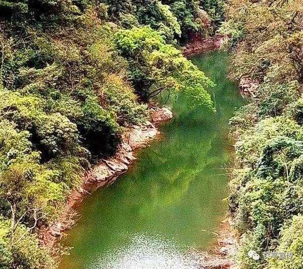 动物帮帮忙保卫家园